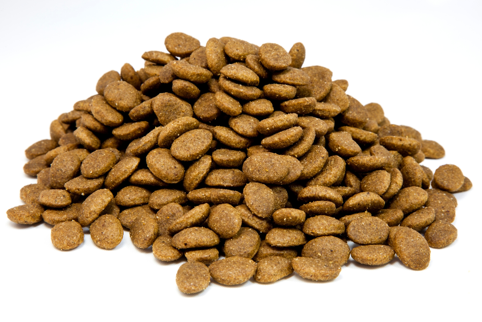 Dry Dog Food