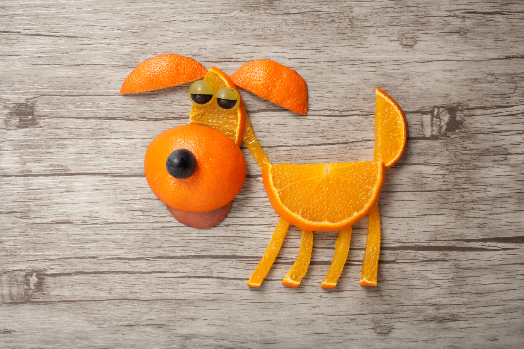 Funny dog made of orange